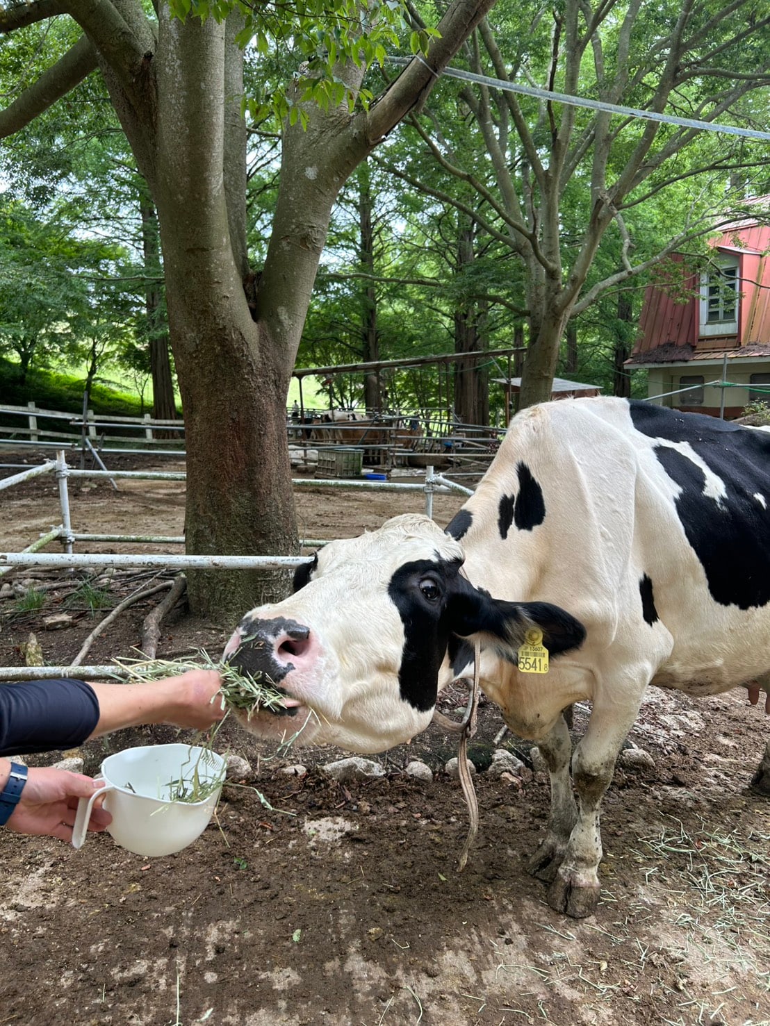 動物敬老の日